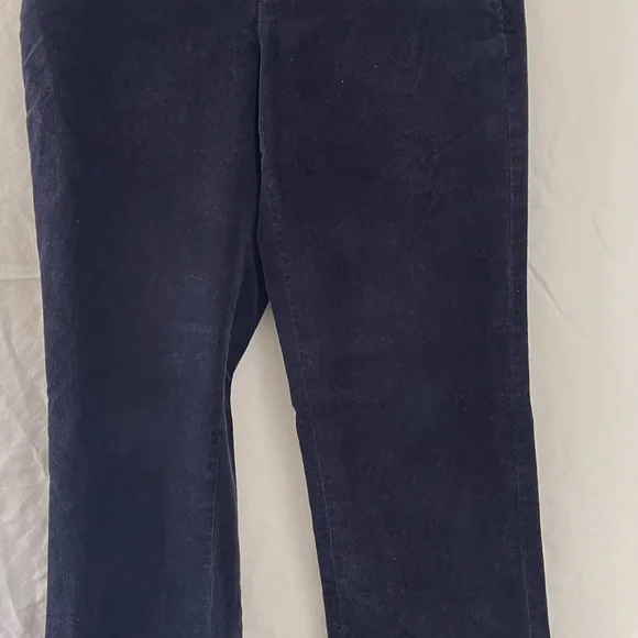 Banana Republic Logan Pants Women’s Corduroy Velour Bootcut style Size: 2 - Picture 3 of 7